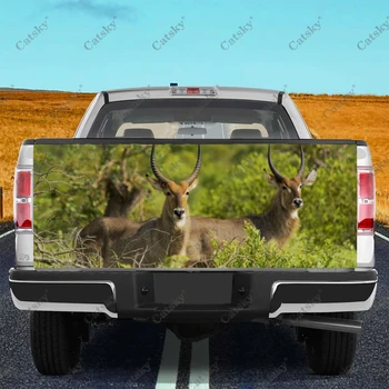 Стикер с изображение на животно Антилопи, защищающая опашката на колата, в багажника, Vinyl стикер, Стикер за декорация на предния капак на колата стикер за suv, пикап