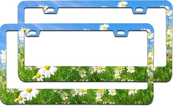 2 бр. рамка за регистрационен номер с цветя Синята небесна маргаритки за жени и момичета, рамка за автомобилната бележки от неръждаема стомана, притежателят на лиценз табела с винт
